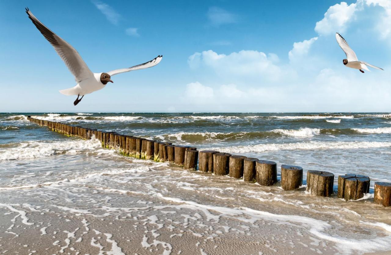 Haus Am Meer Whg 46 فيسترلاند المظهر الخارجي الصورة